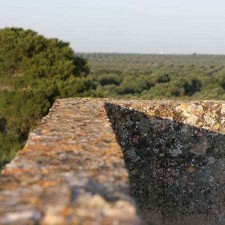 Agriturismo Torre Del Cardo Torre Lapillo Esterno foto